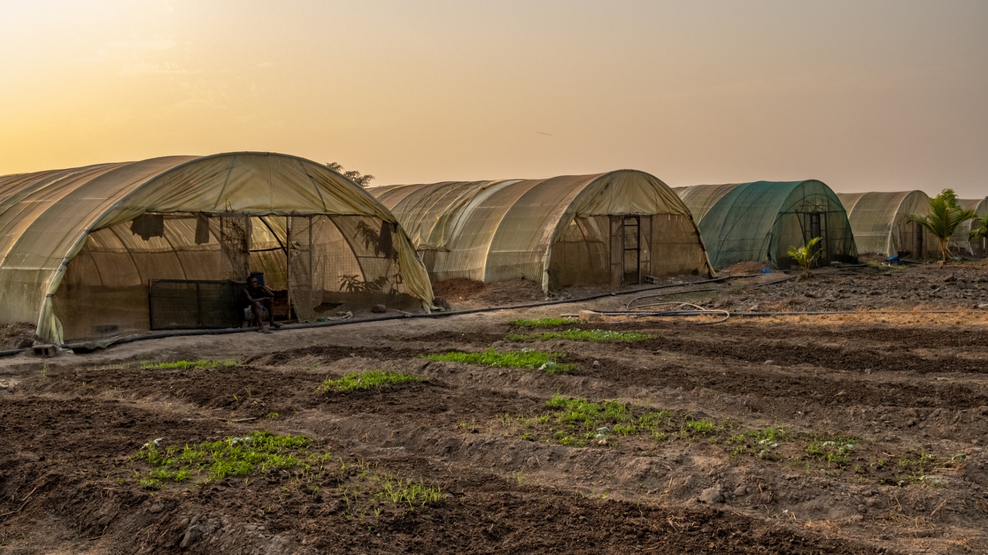 BioFoods greenhouse structures in Bo, Sierra Leone